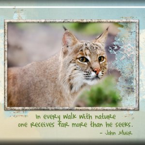 ATC 2017-57 In Every Walk