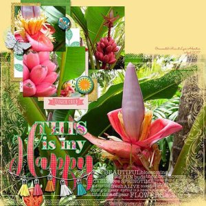 My Happy