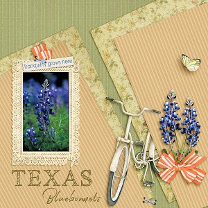 Texas Bluebonnets