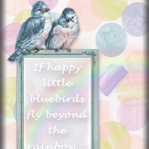 Bluebirds