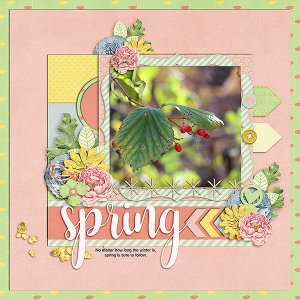Sprng