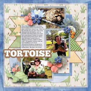 Tortoise