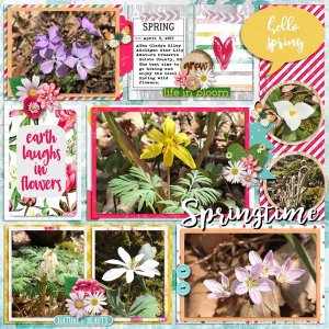 Springtime