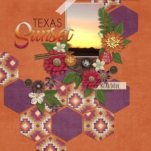 Texas Sunset