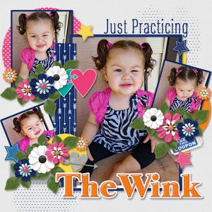 The Wink