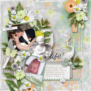 Celebrate Life