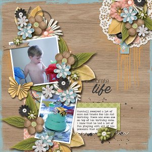 Celebrate Life