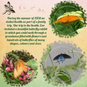 Butterflies