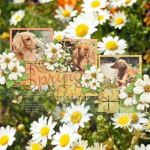 Spring_days