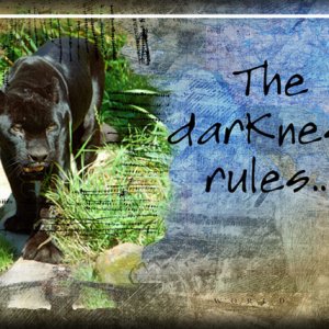 ATC 2017-62 The Darkness Rules