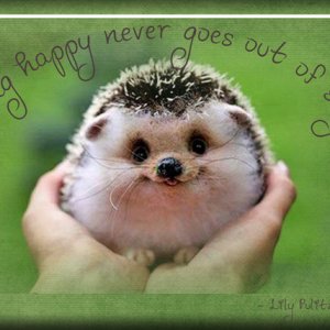 ATC 2017-63 Being Happy