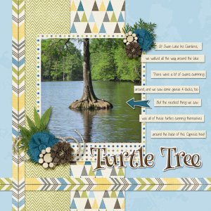 Turtle Tree