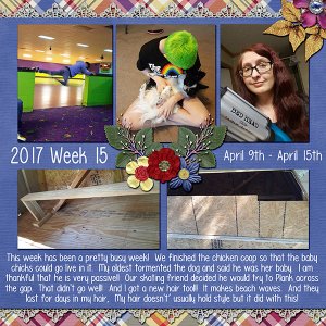 2017 Week 15 -- April 9th - April 15th