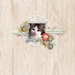 Sweet pea