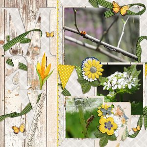 When Bugs Bring Blooms