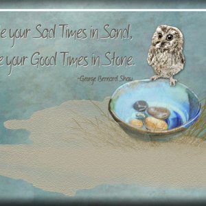 Wise Owl