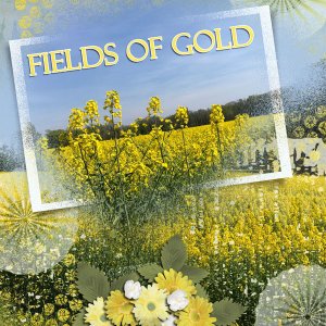 Fields of Gold