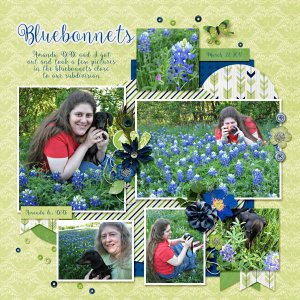 Bluebonnets