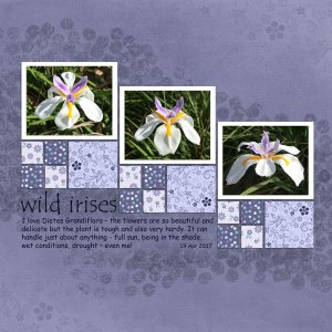 Wild irises