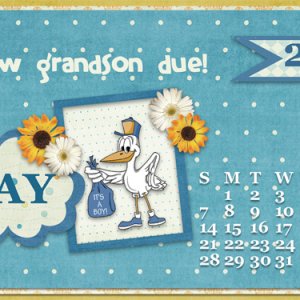 0417 Baby Boy Desktop