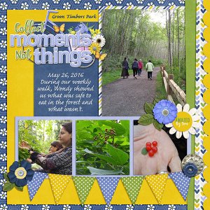 Walk in the Park