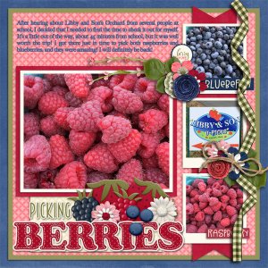 Picking Berries