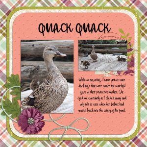 Quack Quack