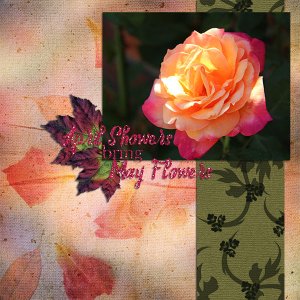 April Showers Bring May Flowers