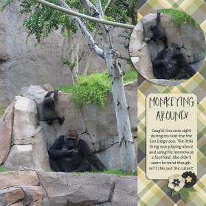 Monkeying Around