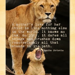 Mother's Love