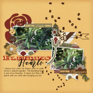 Bleeding Hearts