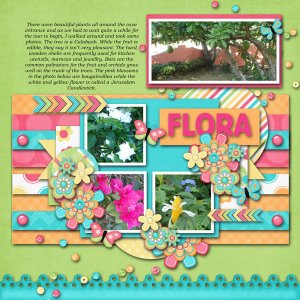 Flora