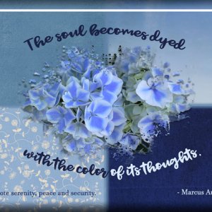 ATC 2017-68 The Soul