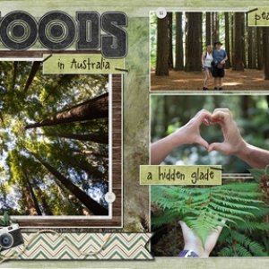 Redwoods1
