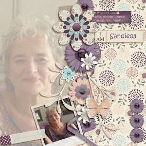 sandie03  What you are