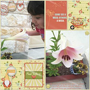Plant Seeds of Love
