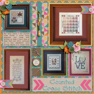Counted Cross Stitch