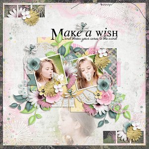 make a wish