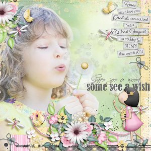 see a wish