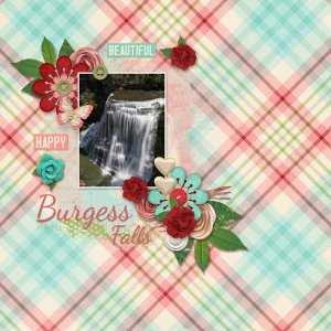 Burgess Falls