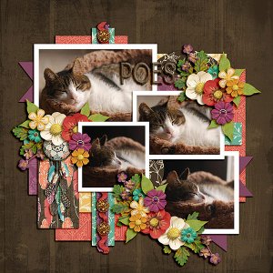 Poes