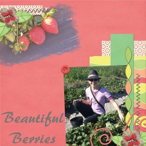 Beautiful Berries