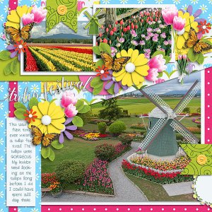 tulip festival