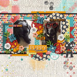 Puppy Love