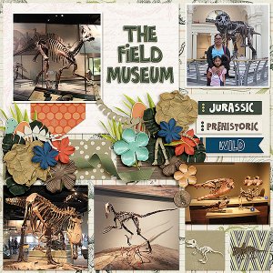The Field Museum