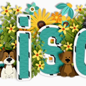 May Siggie