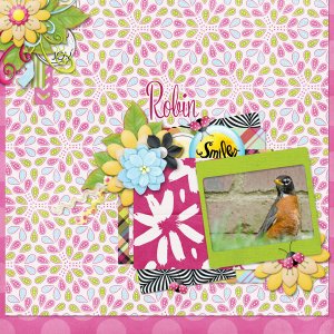 Dress the Template INSD Challenge
