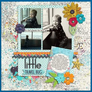 Little Travel Bug