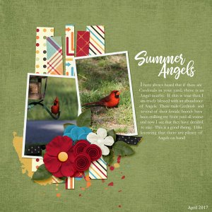 Summer Angels