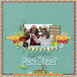 Pan Size